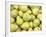Pile of Pears-null-Framed Photographic Print