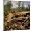 Pile of Rusted Car Shells in an Automobile Junkyard-Walker Evans-Mounted Photographic Print