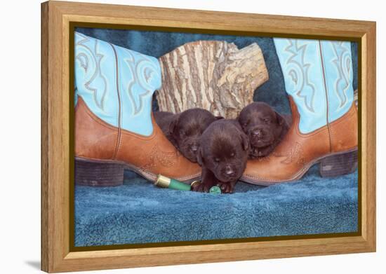 Pile of Sleeping Labrador Retriever Puppies-Zandria Muench Beraldo-Framed Premier Image Canvas