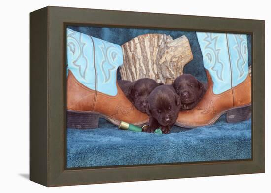 Pile of Sleeping Labrador Retriever Puppies-Zandria Muench Beraldo-Framed Premier Image Canvas