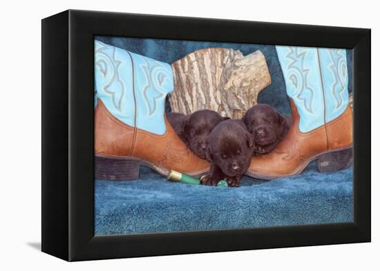 Pile of Sleeping Labrador Retriever Puppies-Zandria Muench Beraldo-Framed Premier Image Canvas