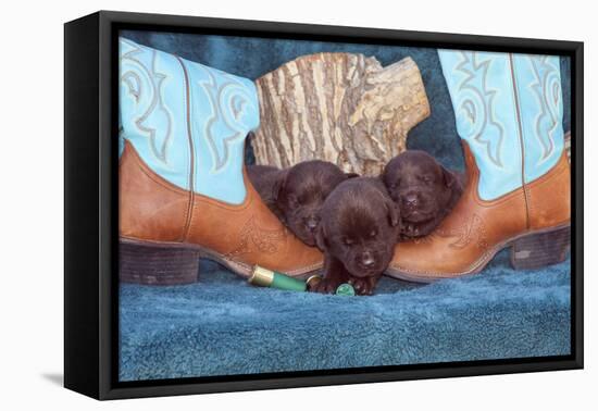 Pile of Sleeping Labrador Retriever Puppies-Zandria Muench Beraldo-Framed Premier Image Canvas