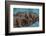 Pile of Sleeping Labrador Retriever Puppies-Zandria Muench Beraldo-Framed Photographic Print