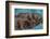 Pile of Sleeping Labrador Retriever Puppies-Zandria Muench Beraldo-Framed Photographic Print