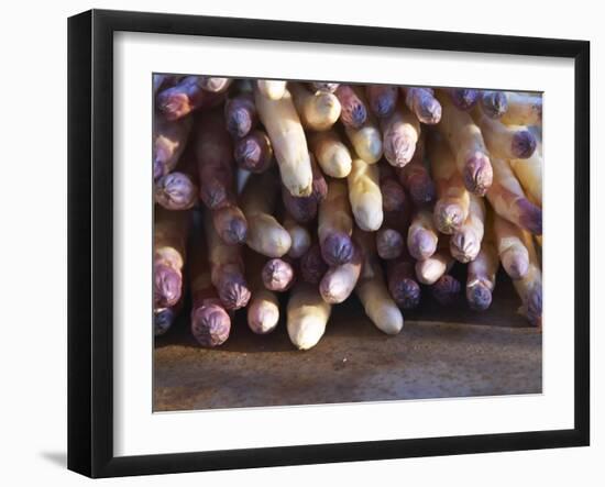 Pile of White Asparagus, Clos Des Iles, Le Brusc, Cote d'Azur, Var, France-Per Karlsson-Framed Photographic Print