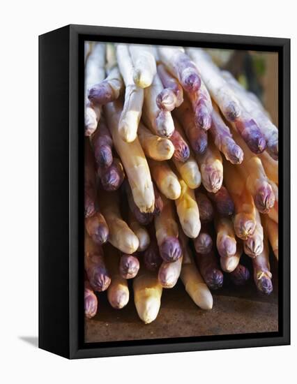 Pile of White Asparagus, Clos Des Iles, Le Brusc, Cote d'Azur, Var, France-Per Karlsson-Framed Premier Image Canvas