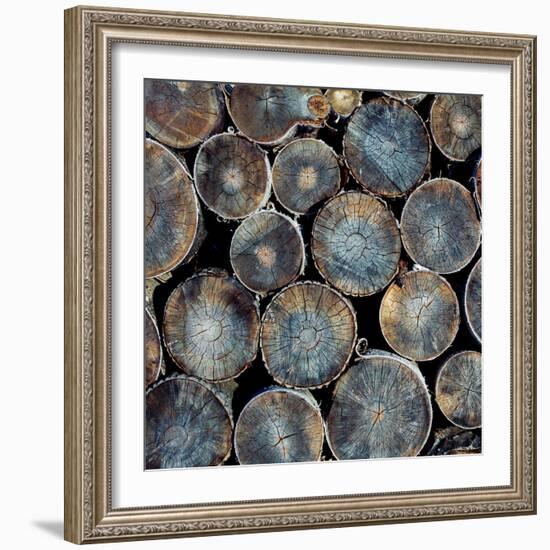 Pile of Wood Logs Ready for Winter Close-Up Texture-Zastolskiy Victor-Framed Photographic Print