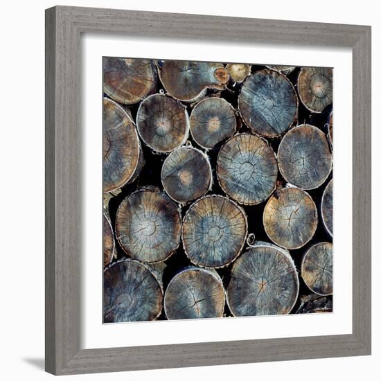 Pile of Wood Logs Ready for Winter Close-Up Texture-Zastolskiy Victor-Framed Photographic Print