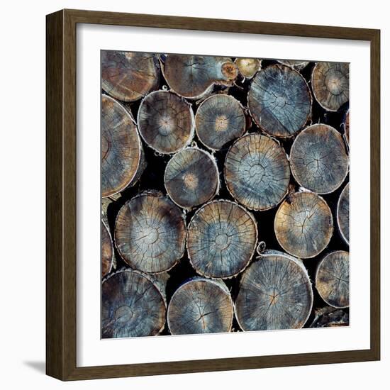 Pile of Wood Logs Ready for Winter Close-Up Texture-Zastolskiy Victor-Framed Photographic Print