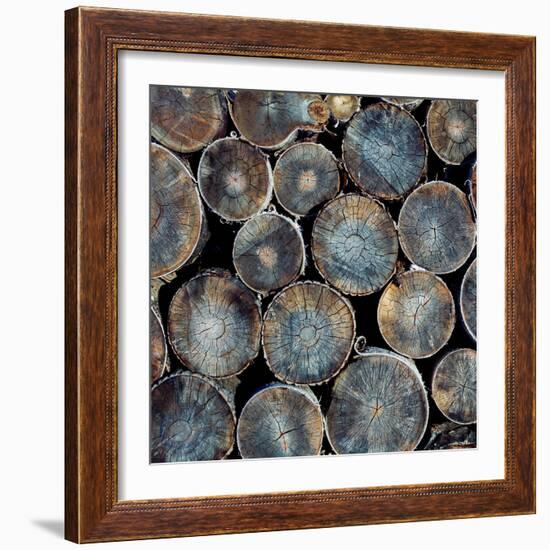 Pile of Wood Logs Ready for Winter Close-Up Texture-Zastolskiy Victor-Framed Photographic Print