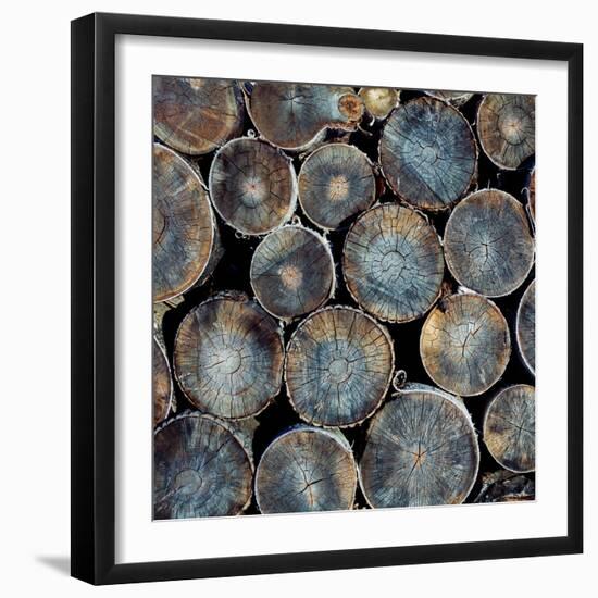 Pile of Wood Logs Ready for Winter Close-Up Texture-Zastolskiy Victor-Framed Photographic Print