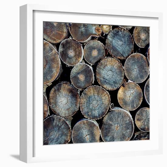 Pile of Wood Logs Ready for Winter Close-Up Texture-Zastolskiy Victor-Framed Photographic Print