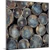 Pile of Wood Logs Ready for Winter Close-Up Texture-Zastolskiy Victor-Mounted Photographic Print