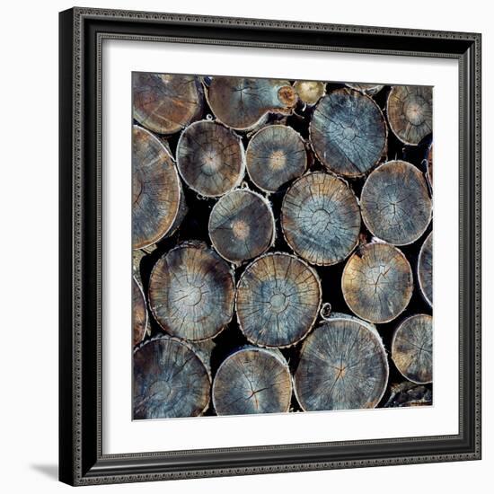 Pile of Wood Logs Ready for Winter Close-Up Texture-Zastolskiy Victor-Framed Photographic Print