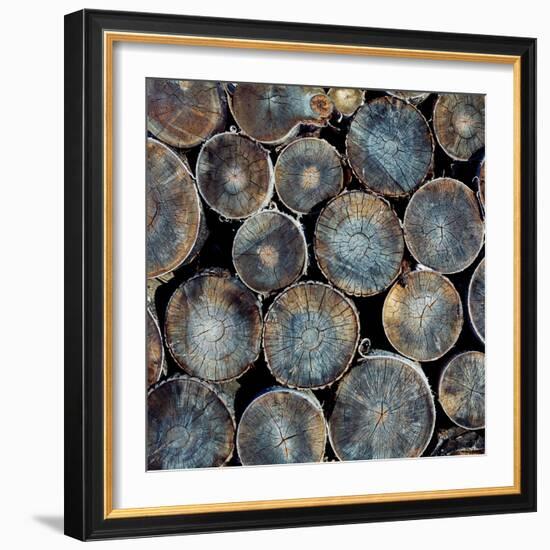 Pile of Wood Logs Ready for Winter Close-Up Texture-Zastolskiy Victor-Framed Photographic Print