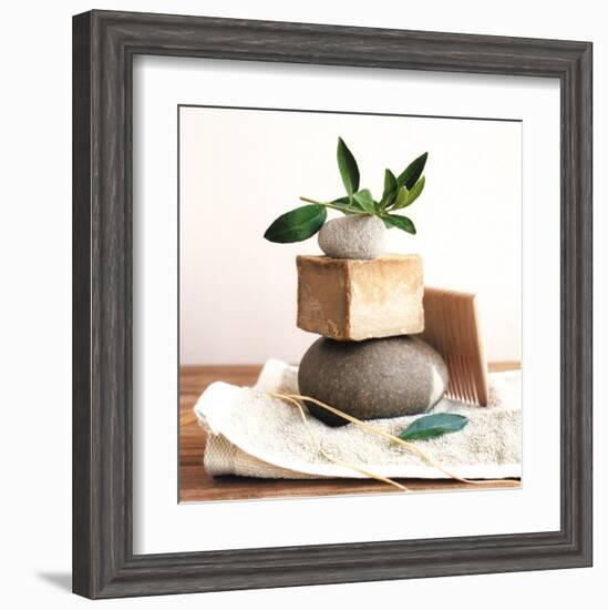 Pile with Olive Tree Branch-Amelie Vuillon-Framed Art Print