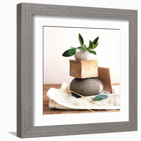 Pile with Olive Tree Branch-Amelie Vuillon-Framed Art Print