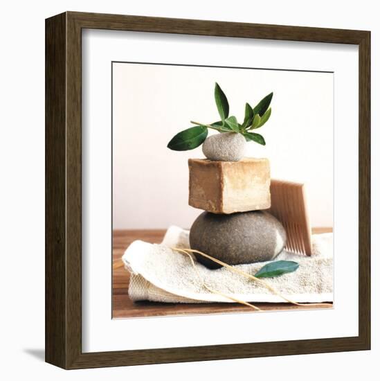 Pile with Olive Tree Branch-Amelie Vuillon-Framed Art Print