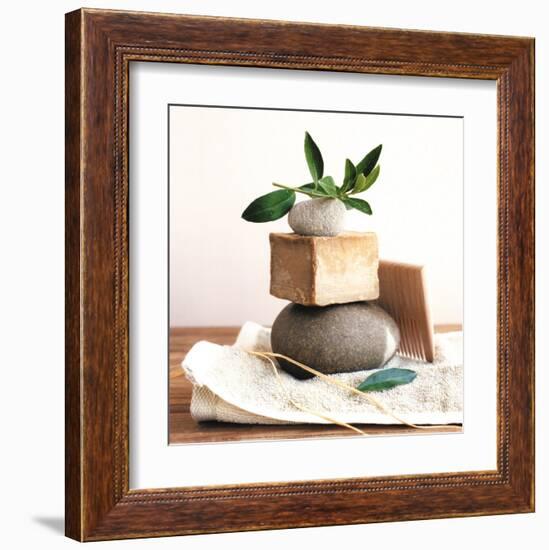 Pile with Olive Tree Branch-Amelie Vuillon-Framed Art Print