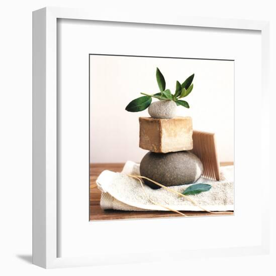 Pile with Olive Tree Branch-Amelie Vuillon-Framed Art Print