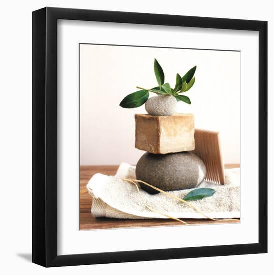 Pile with Olive Tree Branch-Amelie Vuillon-Framed Art Print