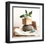 Pile with Olive Tree Branch-Amelie Vuillon-Framed Art Print