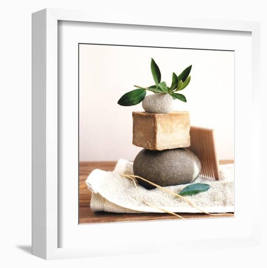 Pile with Olive Tree Branch-Amelie Vuillon-Framed Art Print