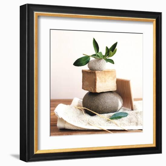 Pile with Olive Tree Branch-Amelie Vuillon-Framed Art Print