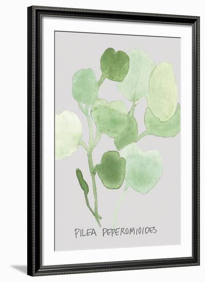 Pilea Peperomioides-Katrien Soeffers-Framed Giclee Print