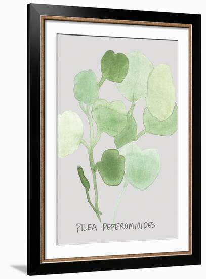 Pilea Peperomioides-Katrien Soeffers-Framed Giclee Print