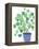Pilea Plant-Elizabeth Rider-Framed Premier Image Canvas