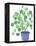 Pilea Plant-Elizabeth Rider-Framed Premier Image Canvas