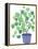 Pilea Plant-Elizabeth Rider-Framed Premier Image Canvas