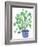 Pilea Plant-Elizabeth Rider-Framed Giclee Print