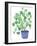 Pilea Plant-Elizabeth Rider-Framed Giclee Print