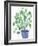 Pilea Plant-Elizabeth Rider-Framed Giclee Print