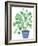 Pilea Plant-Elizabeth Rider-Framed Giclee Print