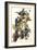 Pileated Woodpecker-John James Audubon-Framed Premium Giclee Print
