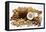 Piles of Nuts-Eising Studio - Food Photo and Video-Framed Premier Image Canvas