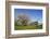 Pilgrimage Church of Birnau Abbey-Markus Lange-Framed Photographic Print