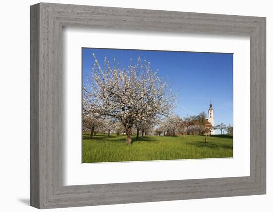 Pilgrimage Church of Birnau Abbey-Markus Lange-Framed Photographic Print