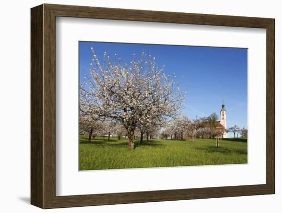 Pilgrimage Church of Birnau Abbey-Markus Lange-Framed Photographic Print