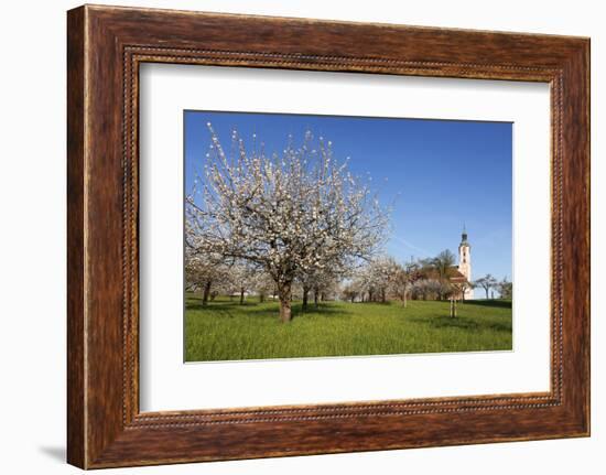 Pilgrimage Church of Birnau Abbey-Markus Lange-Framed Photographic Print