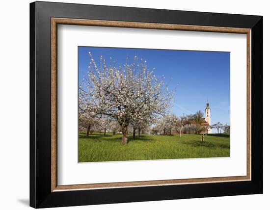 Pilgrimage Church of Birnau Abbey-Markus Lange-Framed Photographic Print