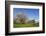 Pilgrimage Church of Birnau Abbey-Markus Lange-Framed Photographic Print