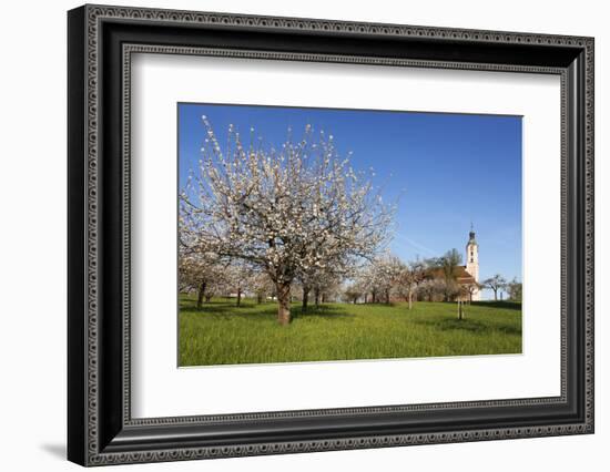 Pilgrimage Church of Birnau Abbey-Markus Lange-Framed Photographic Print