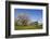 Pilgrimage Church of Birnau Abbey-Markus Lange-Framed Photographic Print