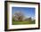 Pilgrimage Church of Birnau Abbey-Markus Lange-Framed Photographic Print