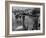 Pilgrimage Protest with Black Montgomery Citizens Walking to Work, in Wake of Rosa Parks Incident-Grey Villet-Framed Photographic Print