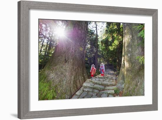 Pilgrims on Daimon-Zaka Nachi Tokaido Pilgrimage Route, Wakayama Prefecture, Honshu, Japan, Asia-Christian Kober-Framed Photographic Print